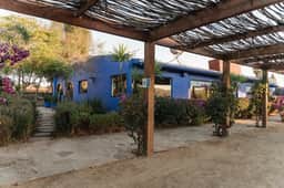Frida - Casa Frida